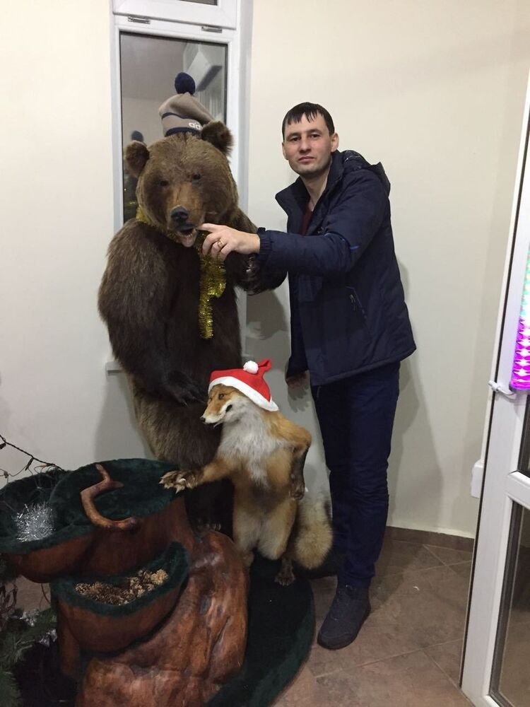 ���� 11393487 ������� �����, 43 ����, ���� ���������� � ���������� ������