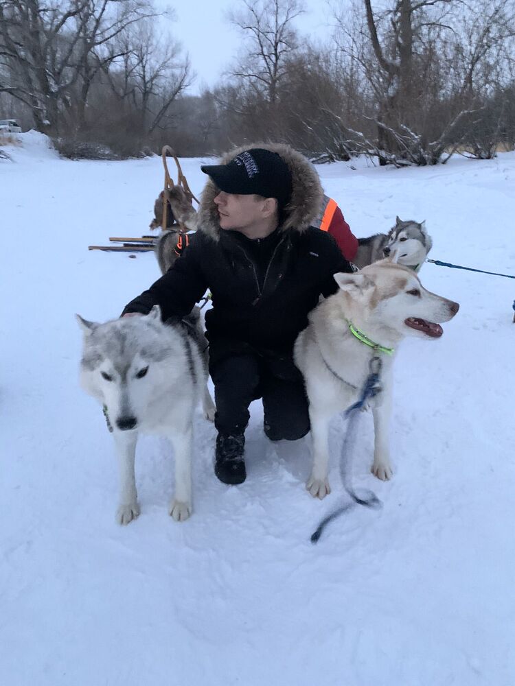 ���������� ����, ���� ������� ���������, 33 ����, ������������ ��� ������, ����� � ���������, ���������