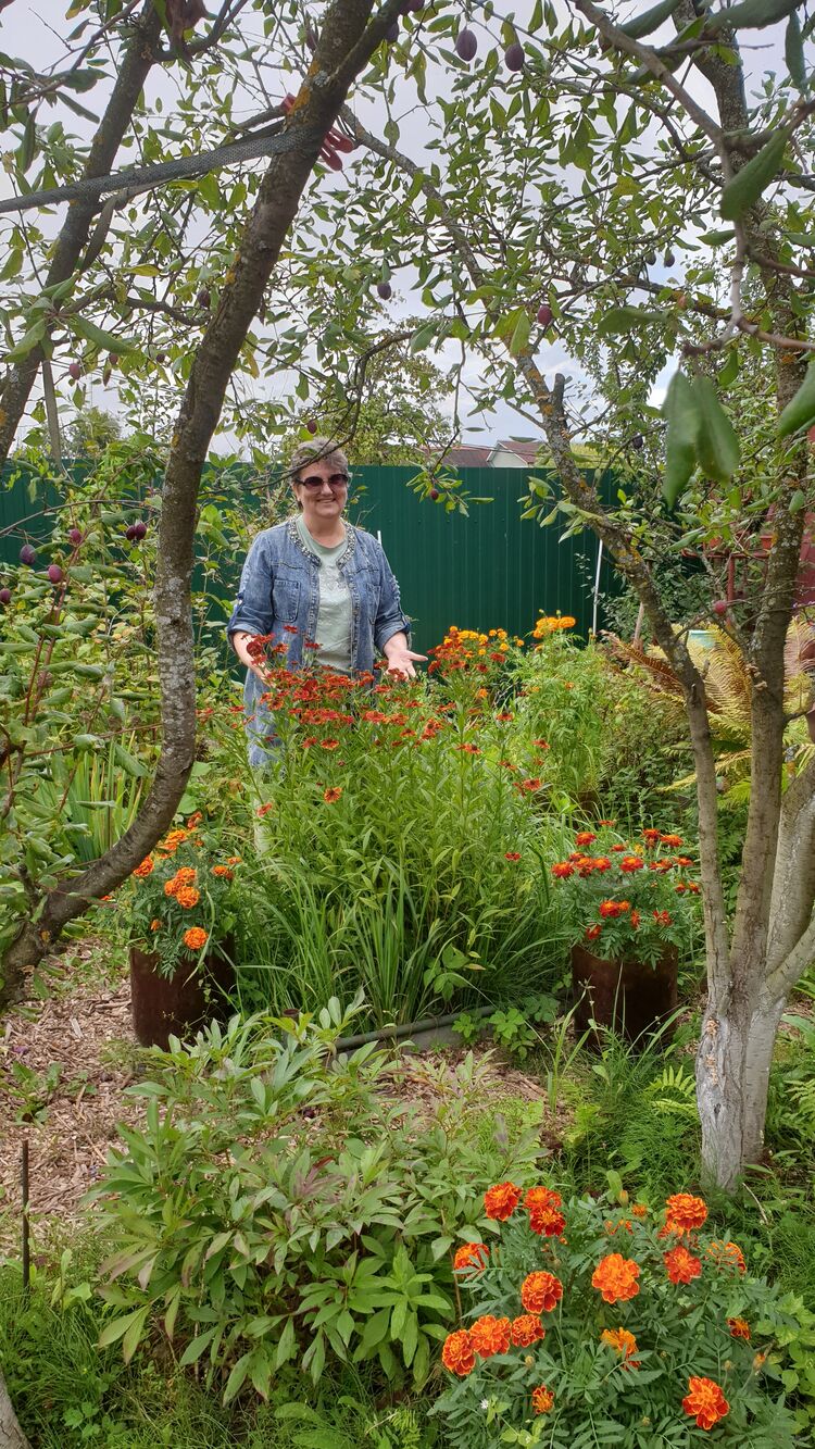 ���������� ���������, ���� ������� ����, 61 ���, ������������ ��� ����� � ���������, c�������� ���������