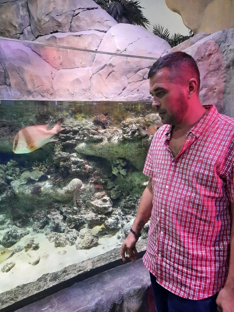 ���������� ��������, ���� ������� �������, 36 ���, ������������ ��� ������, ����� � ���������, c�������� ���������, ���������