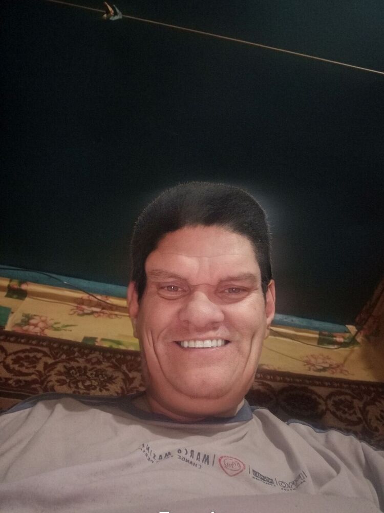  50666547  , 47 ,    