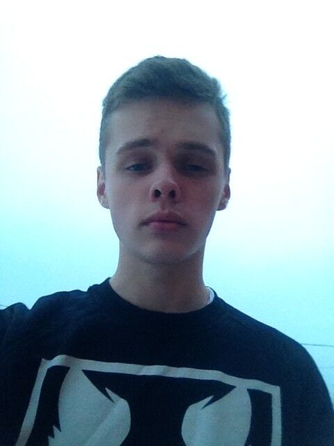  8727817  , 28 ,    -