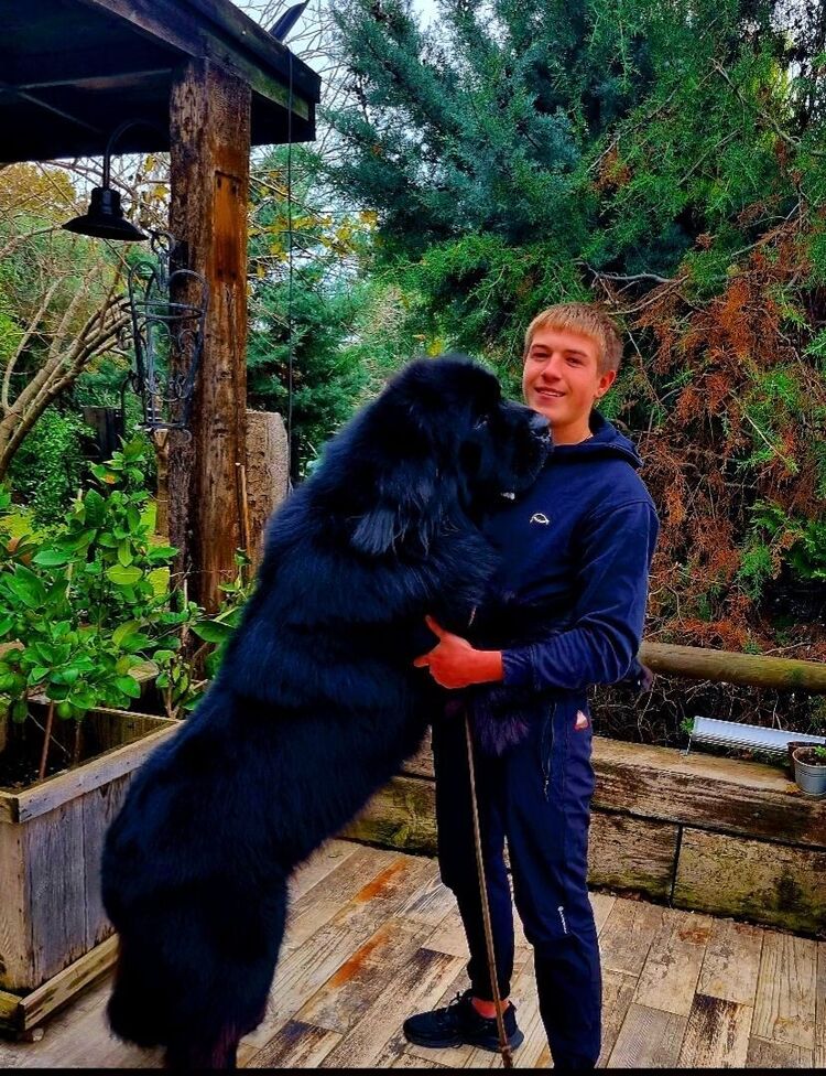 ���������� �����-�����, ���� ����� ����, 21 ���, ������������ ��� ������, ����� � ���������