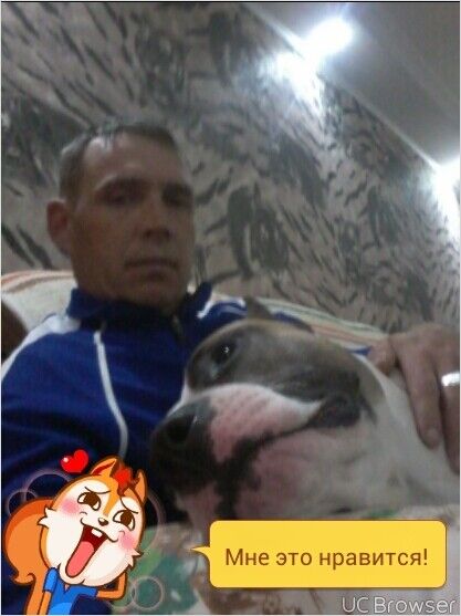  ,   , 43 ,     , c 