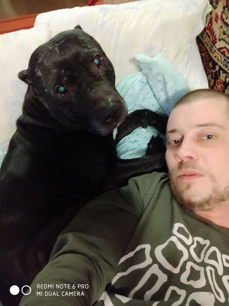 ���������� ������, ���� ������� �������, 36 ���, ������������ ��� ������, ����� � ���������, c�������� ���������