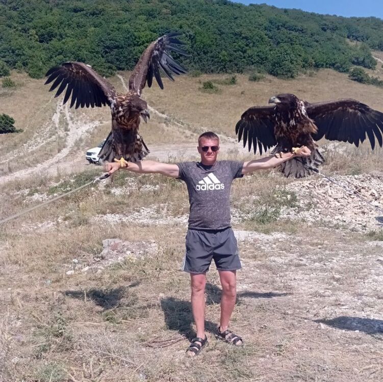 ���������� ����������, ���� ������� ������, 39 ���, ������������ ��� ������, ����� � ���������, c�������� ���������