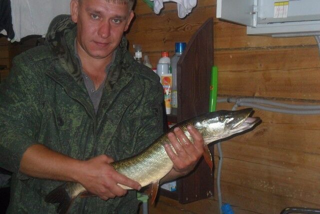 ���� 7175607 ������� �����, 43 ����, ���� ���������� � ��������