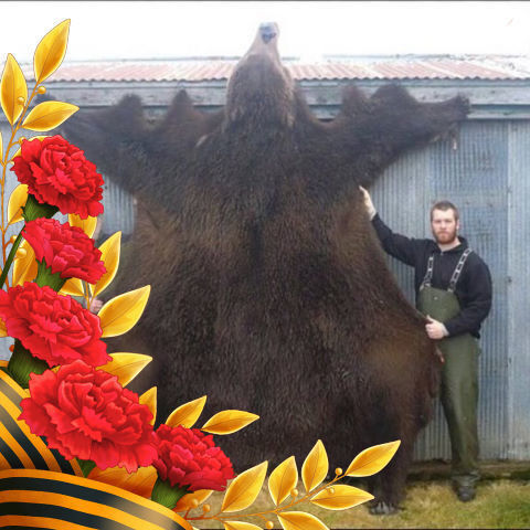 ���� 18079997 ������� ��� �����, 40 ���, ���� ���������� � ������