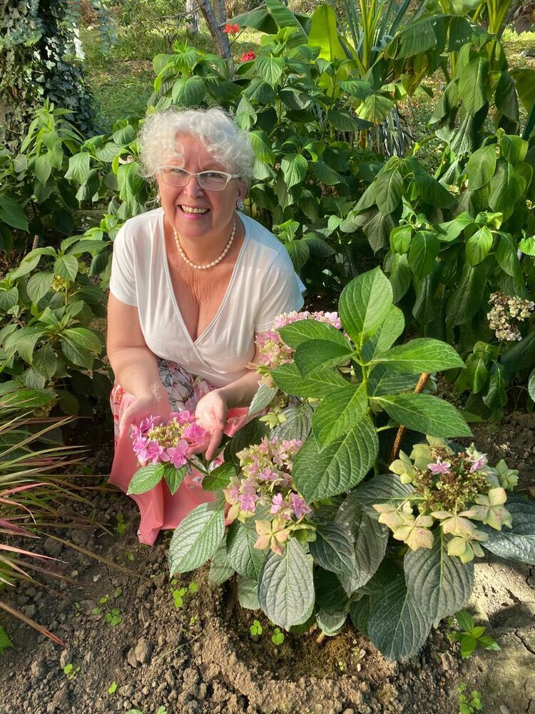 ���� 53770597 ������� ��������, 70 ���, ���� ���������� � ����������