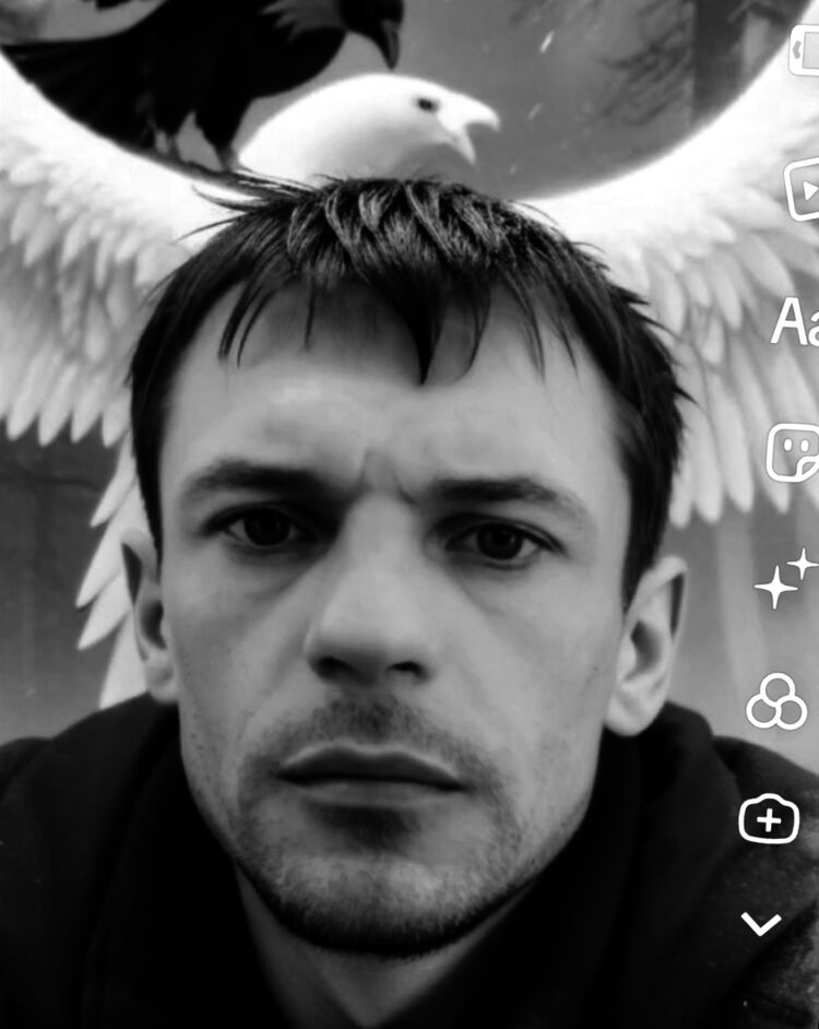 ���� 55587877 ������� ����, 40 ���, ���� ���������� � �������