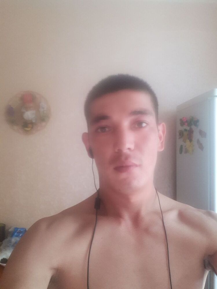  23373297  , 31 ,    