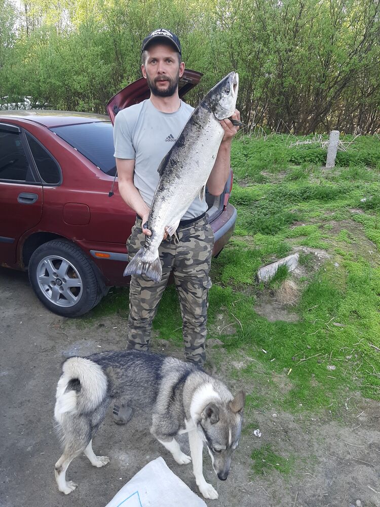 ���� 52062447 ������� Vanya, 42 ����, ���� ���������� � ���������