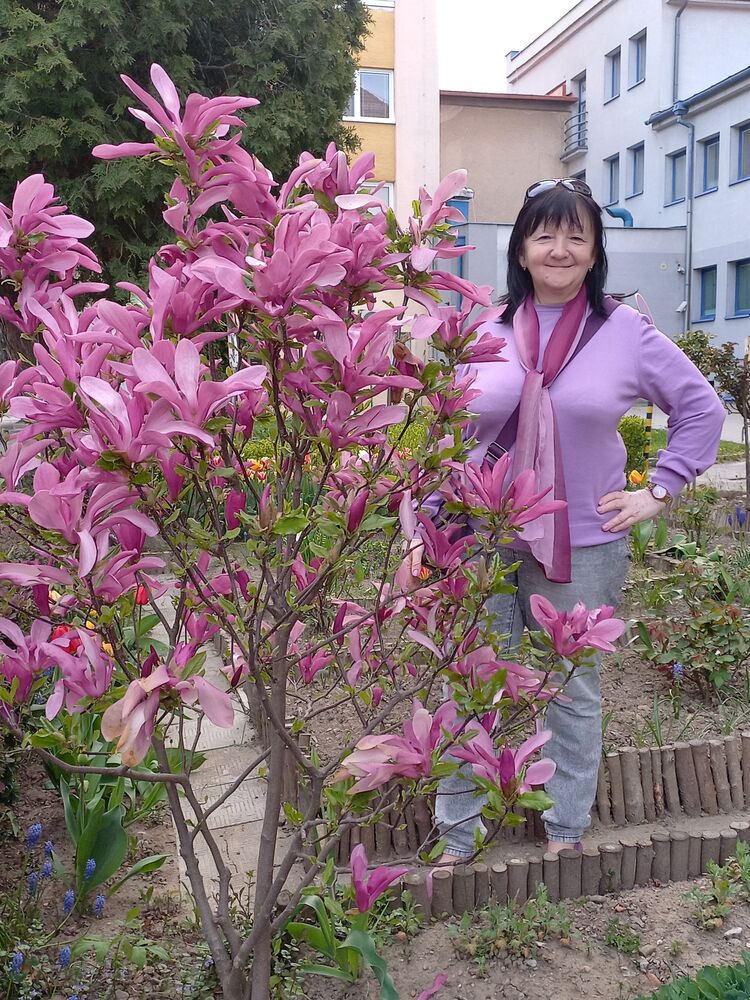  ,   , 62 ,     , c 