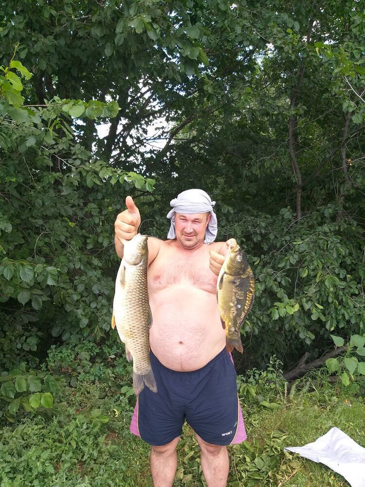 ���������� �����, ���� ������� ��������, 44 ����, ������������ ��� ������, ����� � ���������, c�������� ���������