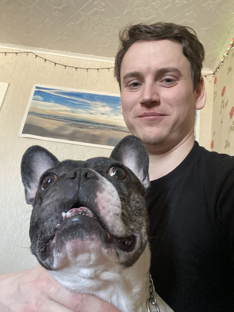  53314467  Show Profit, 28 ,    