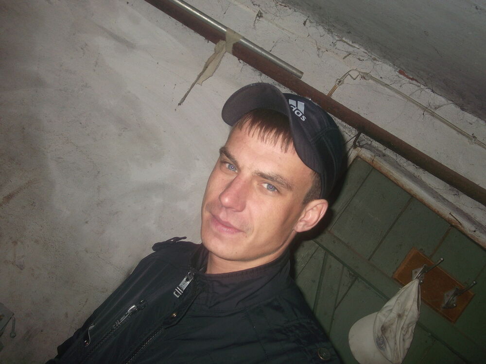 8782077  , 41 ,    