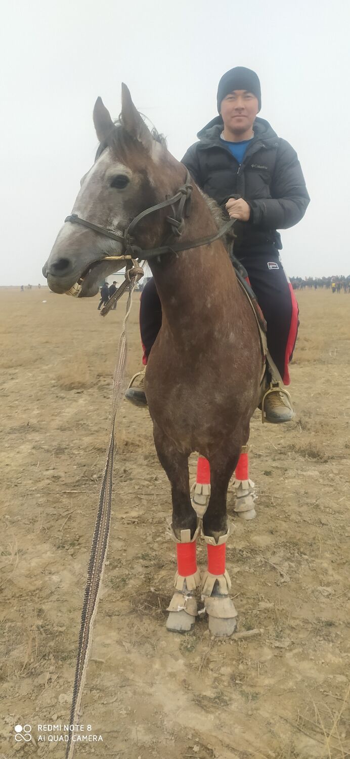 ���� 24901377 ������� ��������, 33 ����, ���� ���������� � ������