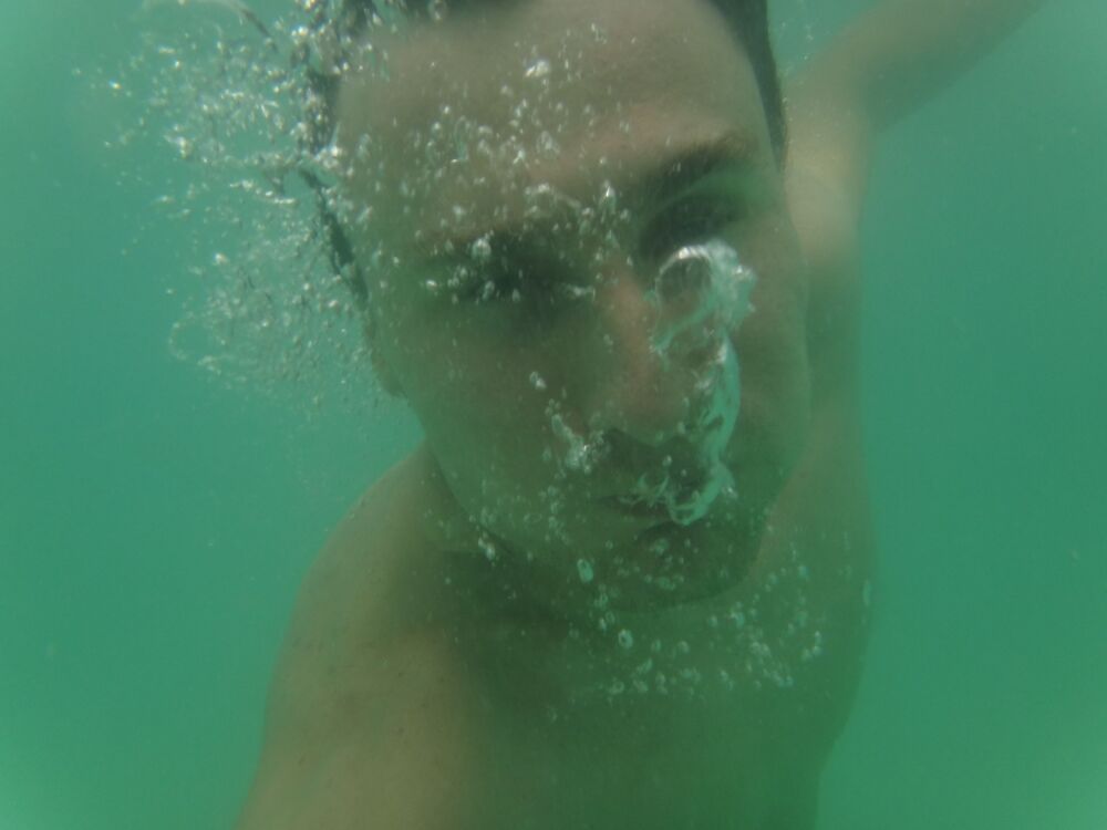  39814427  , 43 ,    