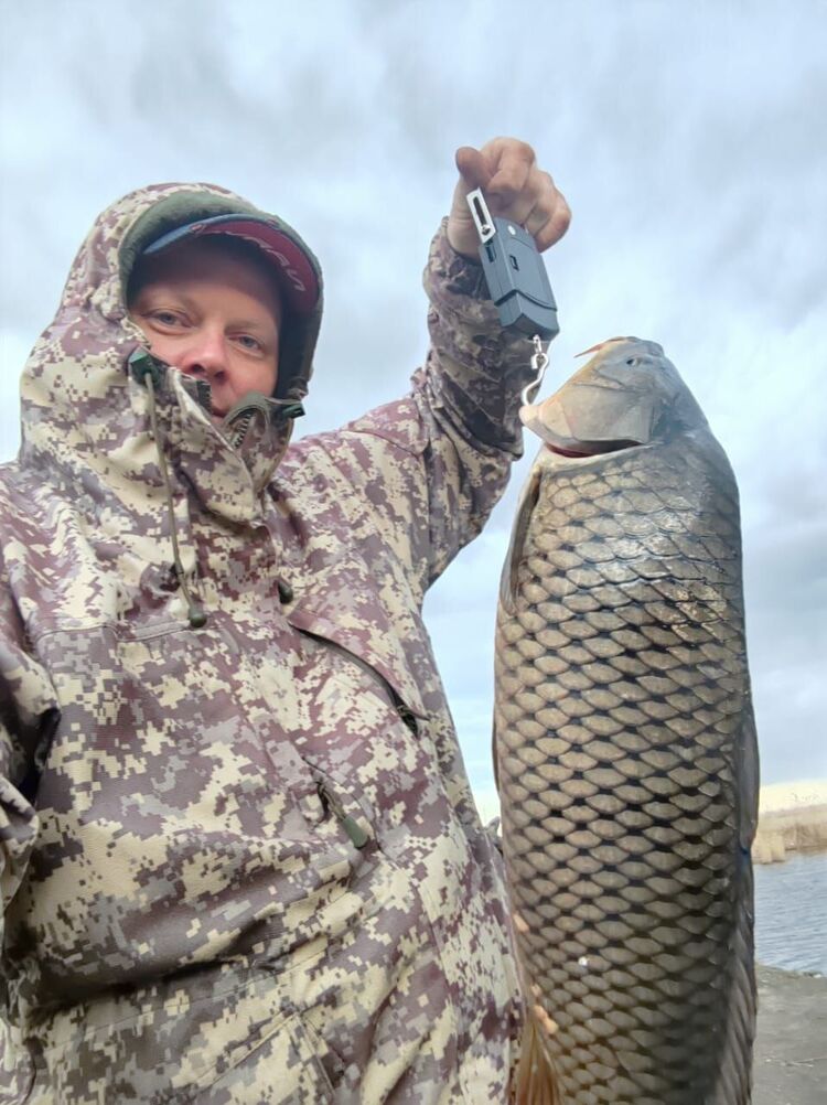 ���� 51272857 ������� �������, 50 ���, ���� ���������� � ������