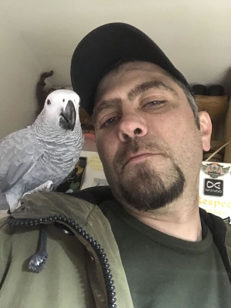 ���� 54870157 ������� ������, 39 ���, ���� ���������� � �����