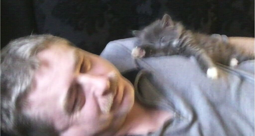 ���������� �����-���������, ���� ������� �����, 58 ���, ������������ ��� c�������� ���������