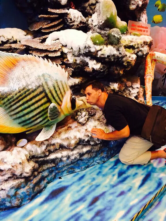 ���������� �����������, ���� ������� �������, 48 ���, ������������ ��� ������, ����� � ���������, ���������