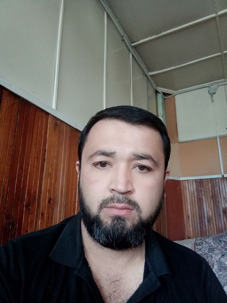  37495397  , 37 ,    -