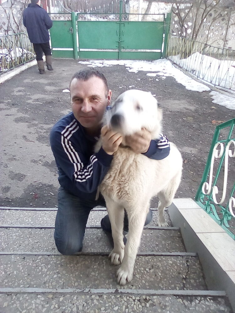  ,   , 44 ,  