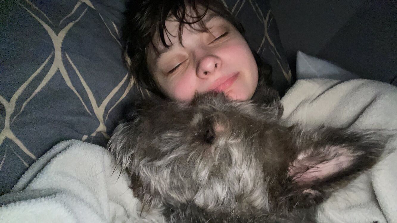 ���������� �����, ���� ������� ����, 18 ���, ������������ ��� ����� � ���������, c�������� ���������, ���������