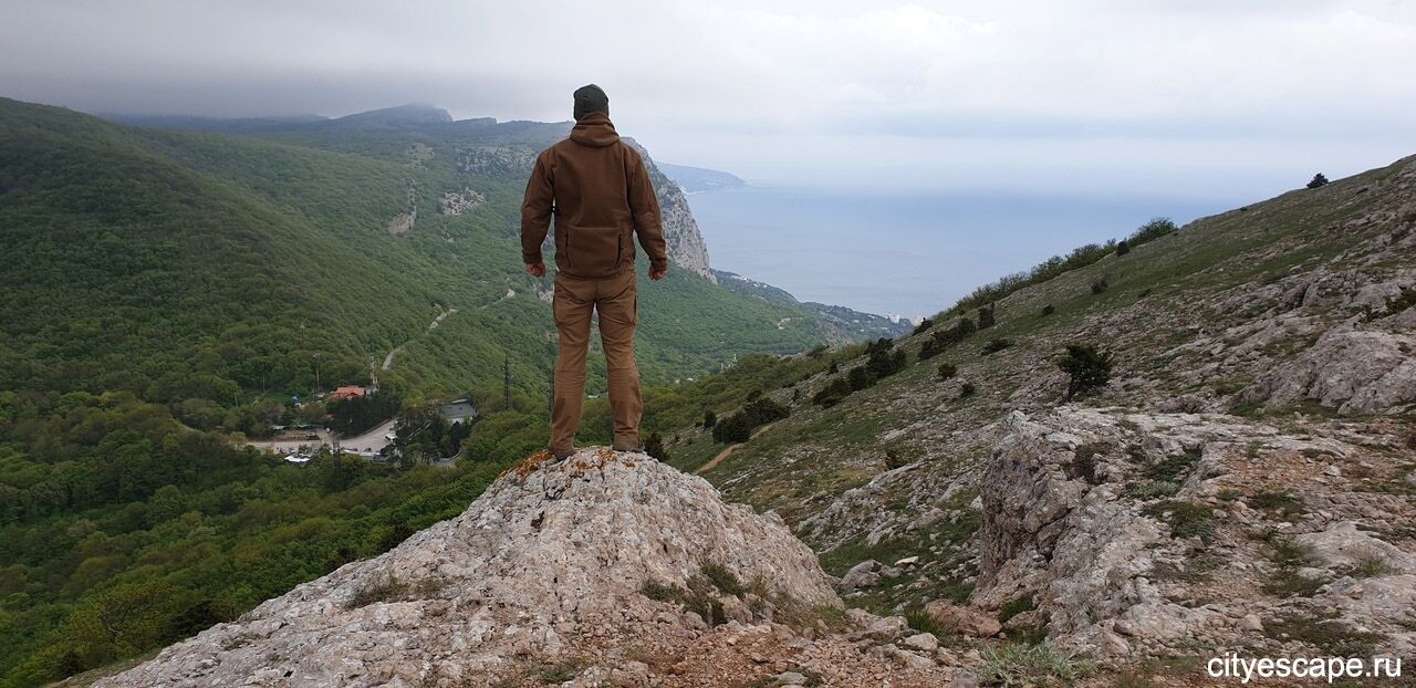 ���� 35090057 ������� ������, 35 ���, ���� ���������� � �����������