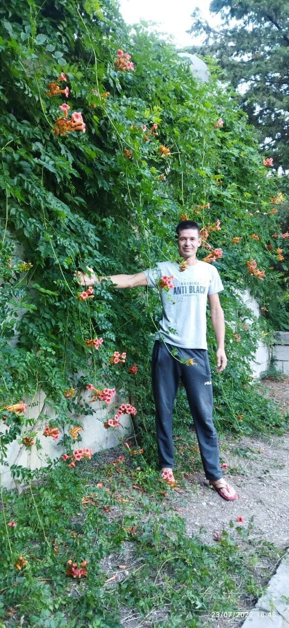  ,   , 34 ,   c 