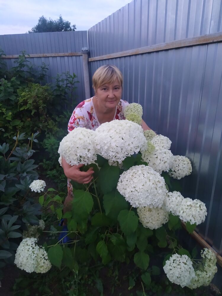 ���� 39522407 ������� �������, 56 ���, ���� ���������� � ������