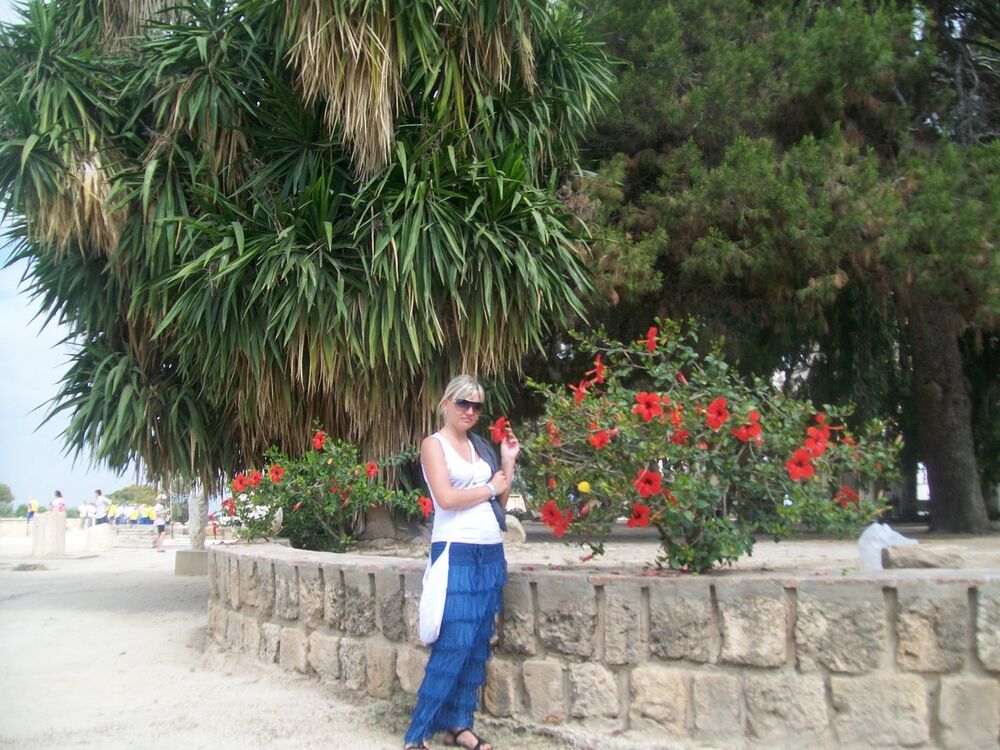 ���������� ��������, ���� ������� �����, 43 ����, ������������ ��� ������, ����� � ���������, c�������� ���������