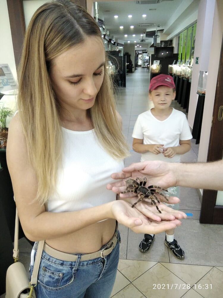  ,   , 26 ,   ,   , 