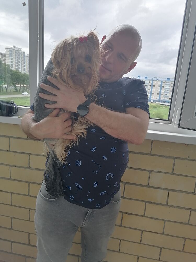 ���� 24688877 ������� ������, 51 ���, ���� ���������� � ����������