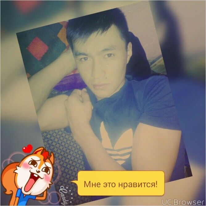  -,   , 33 ,   ,   , c 