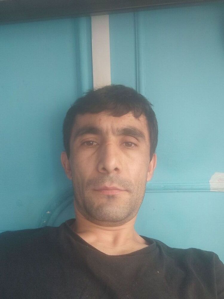  53563387  , 34 ,    -