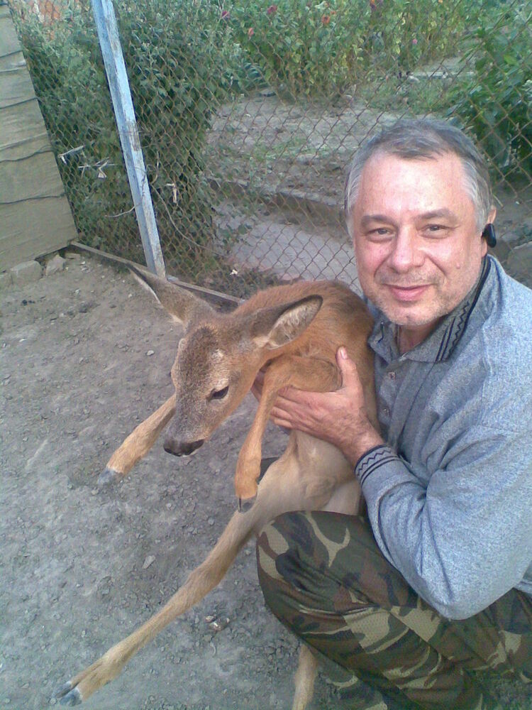 ���������� ���������, ���� ������� �������, 65 ���, ������������ ��� ������