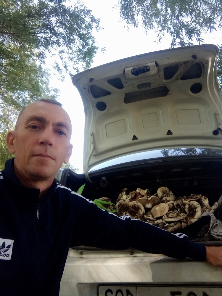 ���������� ����, ���� ������� �����, 43 ����, ������������ ��� ������, ����� � ���������, c�������� ���������