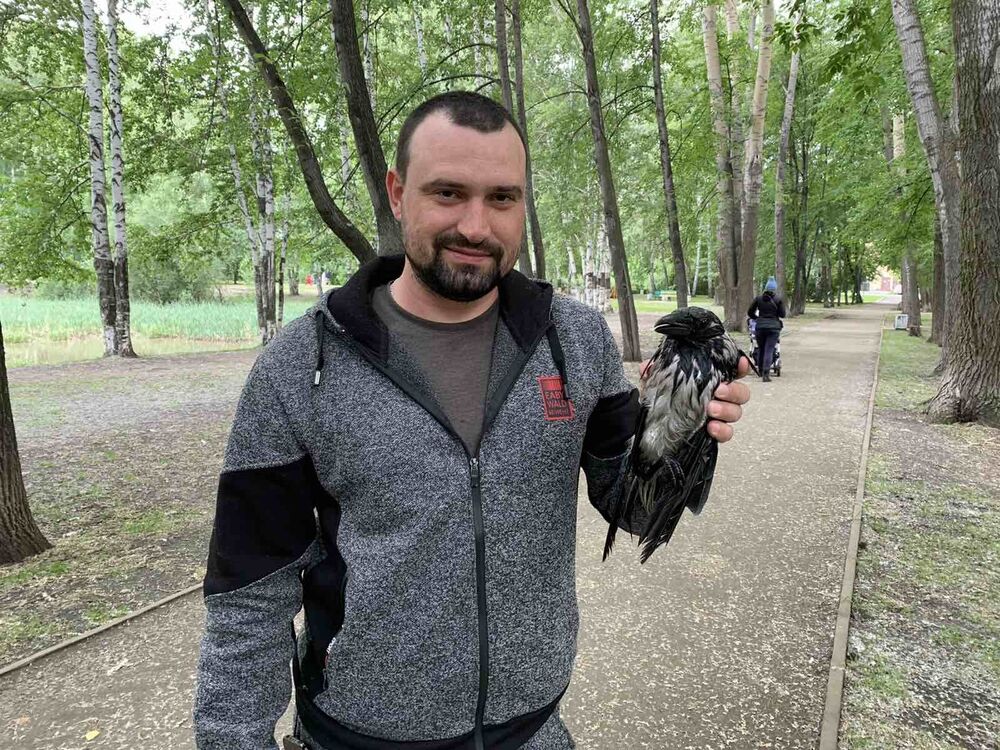 ���� 28704707 ������� ����, 37 ���, ���� ���������� � �������������