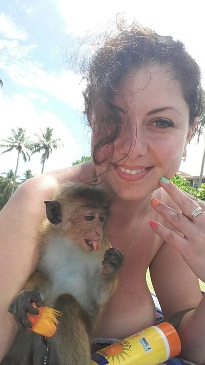 ���� 22615717 ������� �������, 43 ����, ���� ���������� � �����������