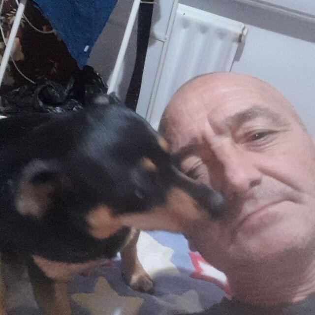 ���������� ��������-��-������, ���� ������� ���������, 55 ���, ������������ ��� ������, ����� � ���������, c�������� ���������