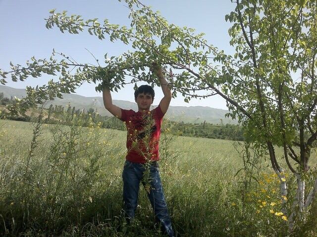 ���������� �������, ���� ������� ������, 33 ����, ������������ ��� ������, ����� � ���������, c�������� ���������, ���������