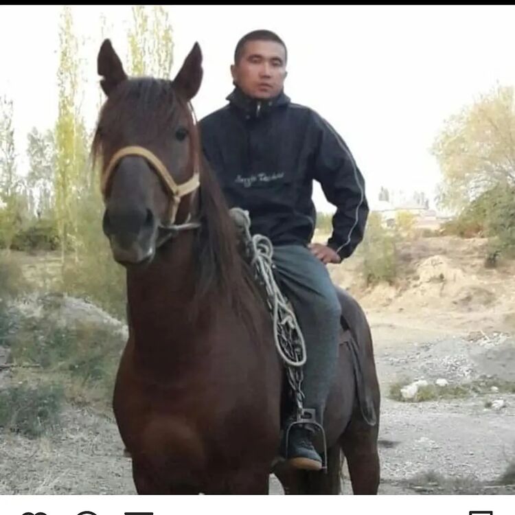 ���� 25536547 ������� ���������, 32 ����, ���� ���������� � �������