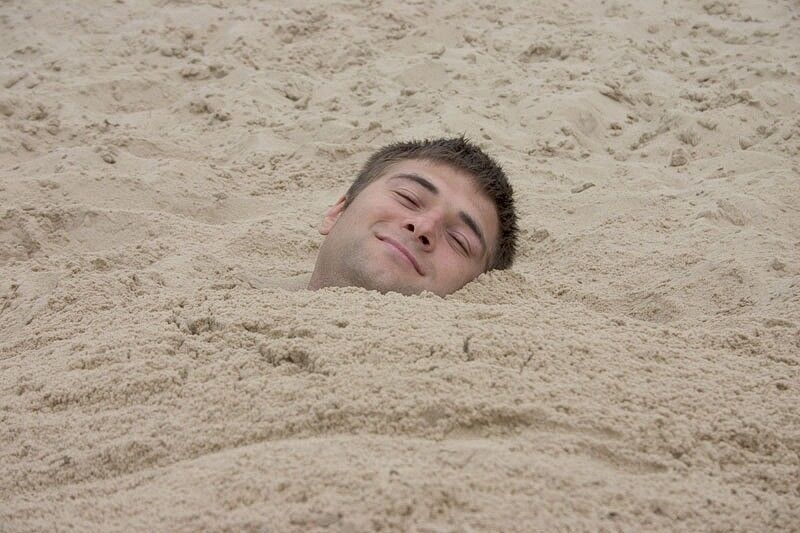 ���� 11094217 ������� ���������, 45 ���, ���� ���������� � ������