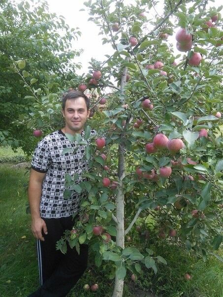 ���� 18382967 ������� ������, 40 ���, ���� ���������� � ��������