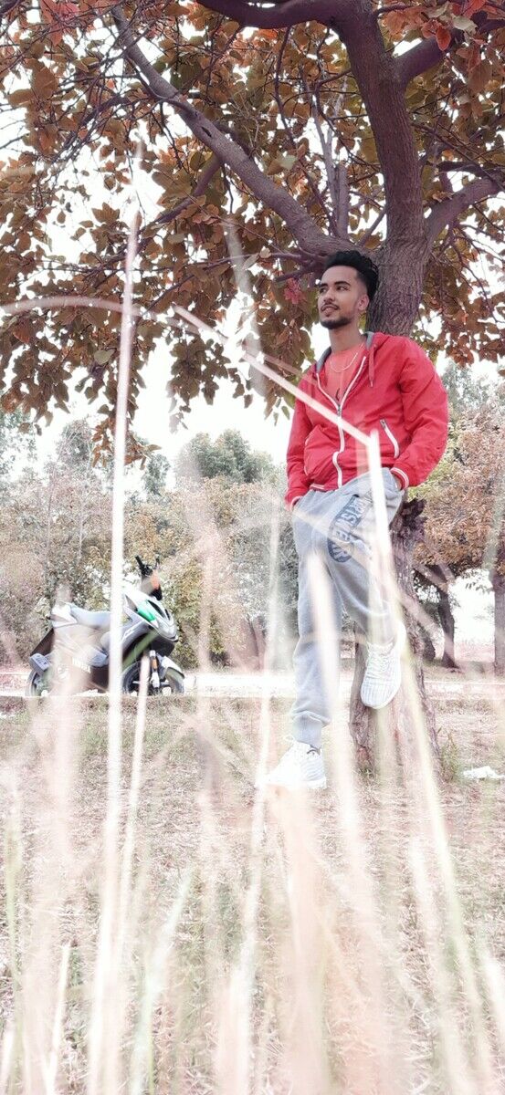  21320517  Hamza, 27 ,    