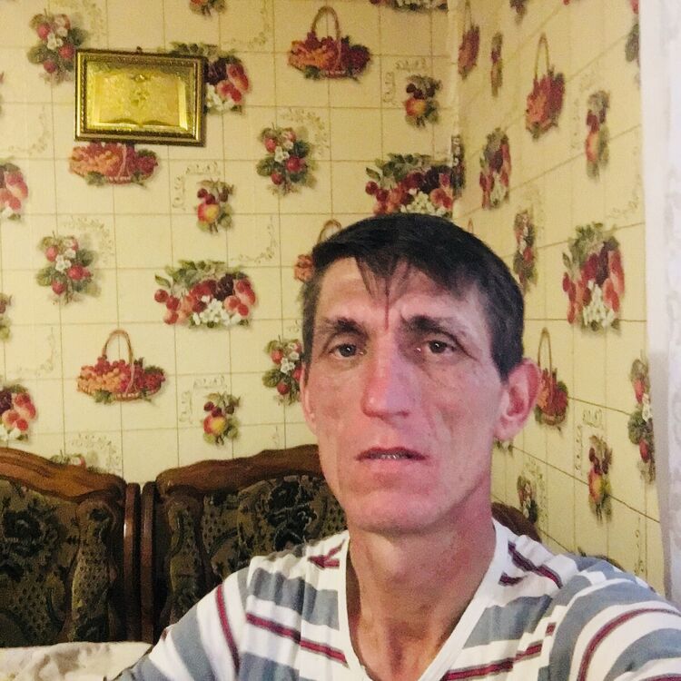  ,   , 51 ,     , c 