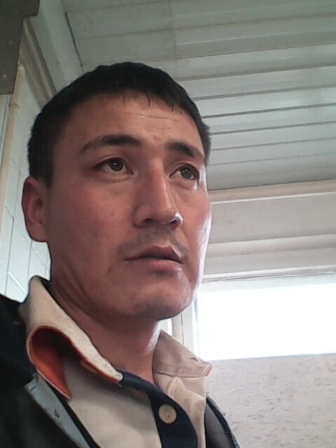  51097317  , 37 ,    