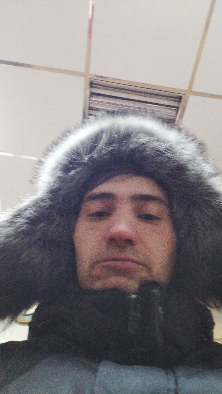  31536397  , 29 ,    